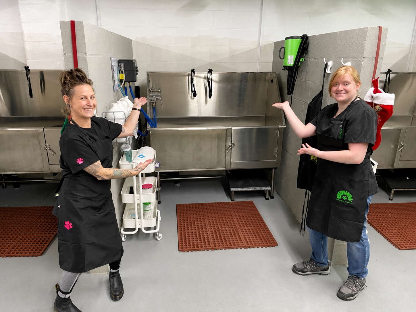 Team members beside the All The Raige dog bathing stations